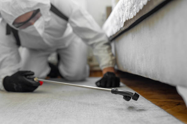 Professional Termite Control technician working in Apollo Beach, FL